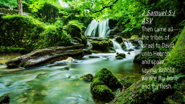 Picture 04 - 2 Samuel 5:1 ASV Desktop Wallpaper - Then came all the tribes of Israel to David unto - Desktop Bible Verse Wallpaper
