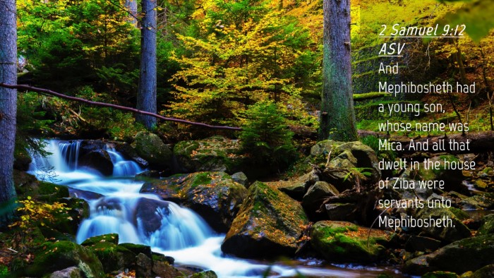 Picture 04 - 2 Samuel 9:12 ASV Desktop Wallpaper - And Mephibosheth had a young son, whose name was - Desktop Bible Verse Wallpaper