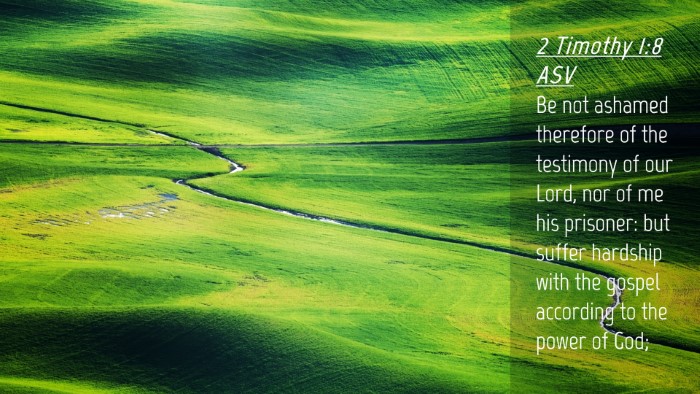 Picture 04 - 2 Timothy 1:8 ASV Desktop Wallpaper - Be not ashamed therefore of the testimony of our - Desktop Bible Verse Wallpaper