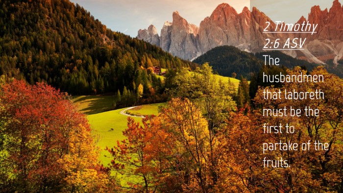 Picture 04 - 2 Timothy 2:6 ASV Desktop Wallpaper - The husbandmen that laboreth must be the first to - Desktop Bible Verse Wallpaper