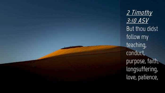 Picture 04 - 2 Timothy 3:10 ASV Desktop Wallpaper - But thou didst follow my teaching, conduct, - Desktop Bible Verse Wallpaper