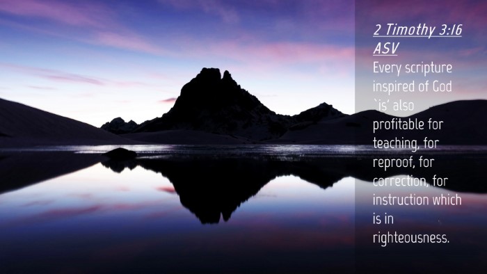 Picture 04 - 2 Timothy 3:16 ASV Desktop Wallpaper - Every scripture inspired of God `is' also - Desktop Bible Verse Wallpaper
