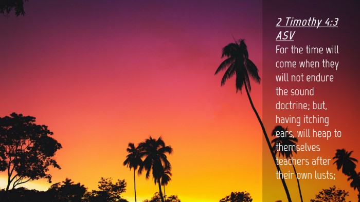 Picture 04 - 2 Timothy 4:3 ASV Desktop Wallpaper - For the time will come when they will not endure - Desktop Bible Verse Wallpaper