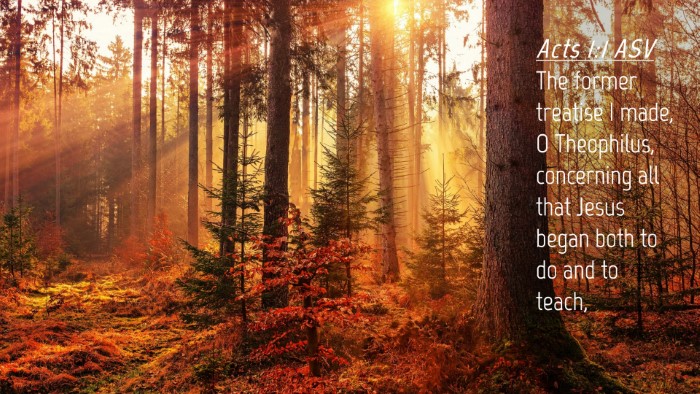 Picture 04 - Acts 1:1 ASV Desktop Wallpaper - The former treatise I made, O Theophilus, - Desktop Bible Verse Wallpaper