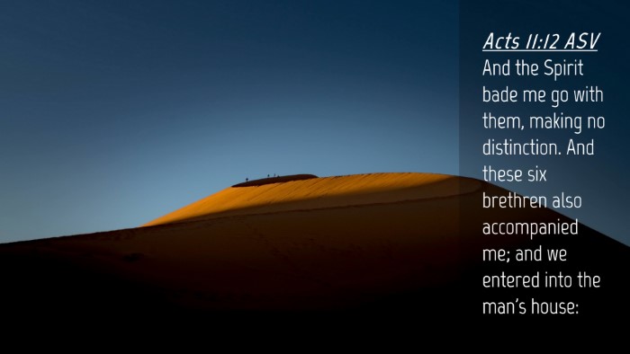 Picture 04 - Acts 11:12 ASV Desktop Wallpaper - And the Spirit bade me go with them, making no - Desktop Bible Verse Wallpaper
