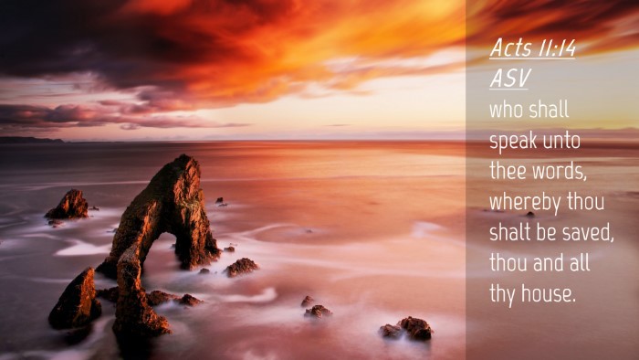 Picture 04 - Acts 11:14 ASV Desktop Wallpaper - who shall speak unto thee words, whereby thou - Desktop Bible Verse Wallpaper