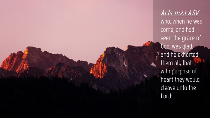 Picture 04 - Acts 11:23 ASV Desktop Wallpaper - who, when he was come, and had seen the grace of - Desktop Bible Verse Wallpaper