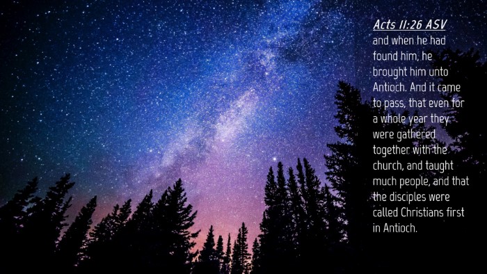 Picture 04 - Acts 11:26 ASV Desktop Wallpaper - and when he had found him, he brought him unto - Desktop Bible Verse Wallpaper
