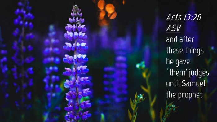 Picture 04 - Acts 13:20 ASV Desktop Wallpaper - and after these things he gave `them' judges - Desktop Bible Verse Wallpaper