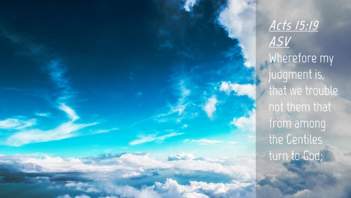Picture 04 - Acts 15:19 ASV Desktop Wallpaper - Wherefore my judgment is, that we trouble not - Desktop Bible Verse Wallpaper