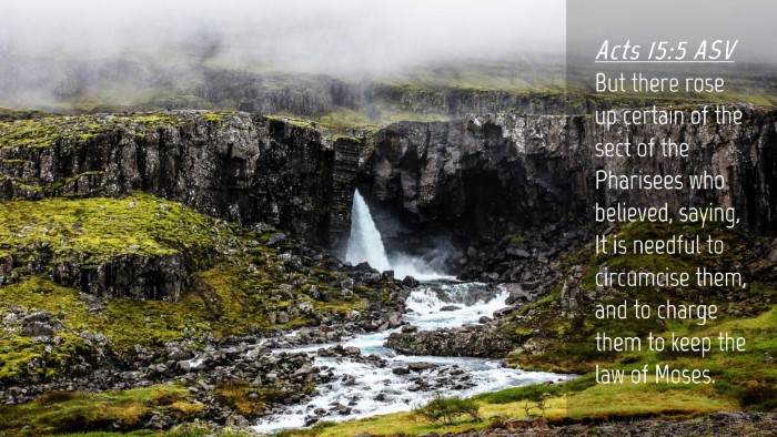 Picture 04 - Acts 15:5 ASV Desktop Wallpaper - But there rose up certain of the sect of the - Desktop Bible Verse Wallpaper