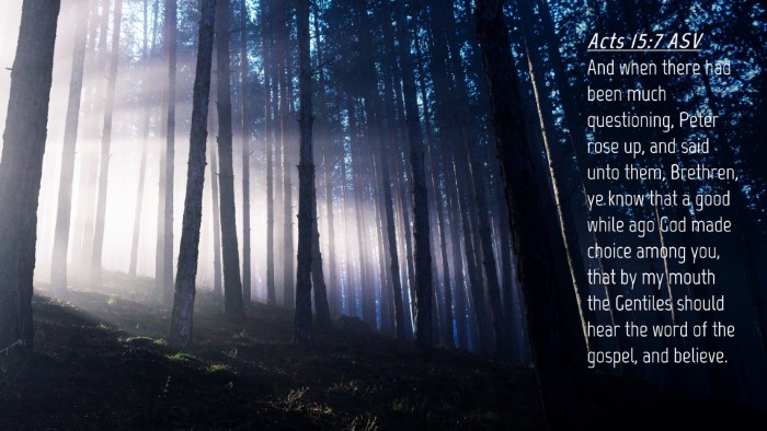 Picture 04 - Acts 15:7 ASV Desktop Wallpaper - And when there had been much questioning, Peter - Desktop Bible Verse Wallpaper