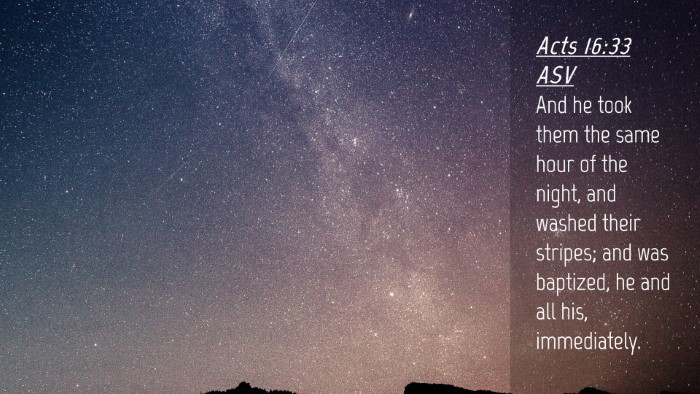 Picture 04 - Acts 16:33 ASV Desktop Wallpaper - And he took them the same hour of the night, and - Desktop Bible Verse Wallpaper