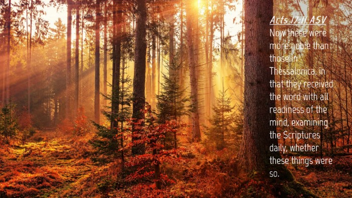 Picture 04 - Acts 17:11 ASV Desktop Wallpaper - Now these were more noble than those in - Desktop Bible Verse Wallpaper