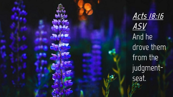 Picture 04 - Acts 18:16 ASV Desktop Wallpaper - And he drove them from the - Desktop Bible Verse Wallpaper