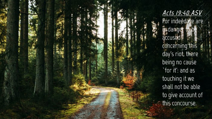 Picture 04 - Acts 19:40 ASV Desktop Wallpaper - For indeed we are in danger to be accused - Desktop Bible Verse Wallpaper