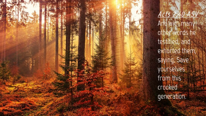 Picture 04 - Acts 2:40 ASV Desktop Wallpaper - And with many other words he testified, and - Desktop Bible Verse Wallpaper