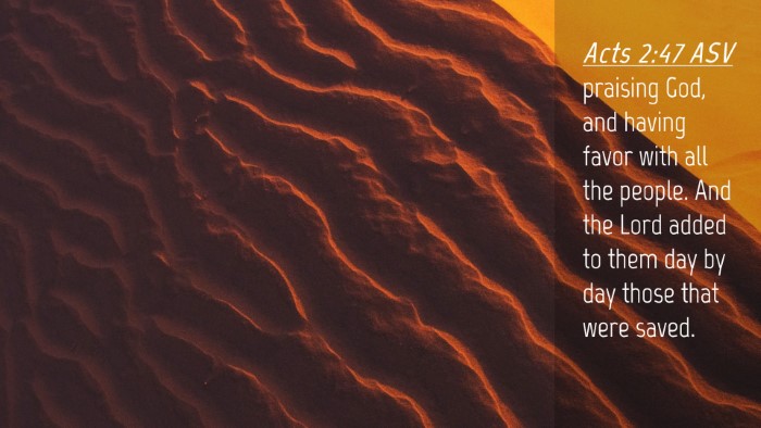 Picture 04 - Acts 2:47 ASV Desktop Wallpaper - praising God, and having favor with all the - Desktop Bible Verse Wallpaper