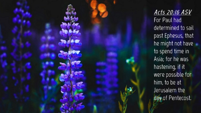 Picture 04 - Acts 20:16 ASV Desktop Wallpaper - For Paul had determined to sail past Ephesus, - Desktop Bible Verse Wallpaper