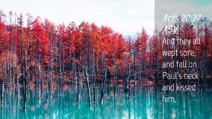 Picture 04 - Acts 20:37 ASV Desktop Wallpaper - And they all wept sore, and fell on Paul's neck - Desktop Bible Verse Wallpaper