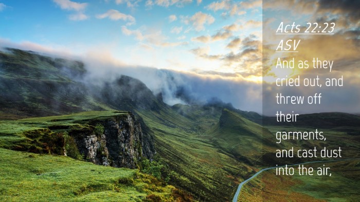 Picture 04 - Acts 22:23 ASV Desktop Wallpaper - And as they cried out, and threw off their - Desktop Bible Verse Wallpaper