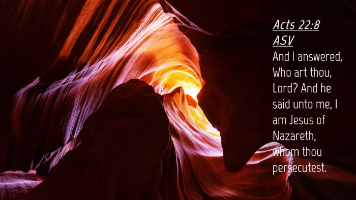 Picture 04 - Acts 22:8 ASV Desktop Wallpaper - And I answered, Who art thou, Lord? And he said - Desktop Bible Verse Wallpaper