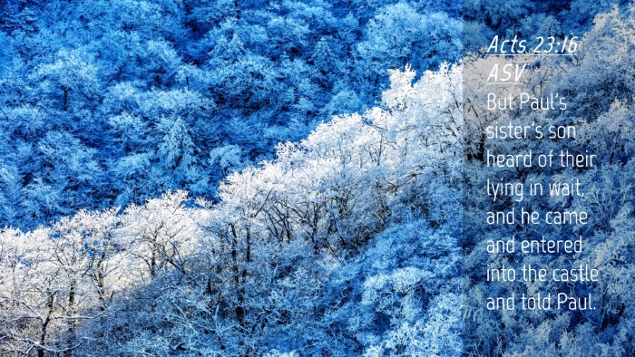 Picture 04 - Acts 23:16 ASV Desktop Wallpaper - But Paul's sister's son heard of their lying in - Desktop Bible Verse Wallpaper