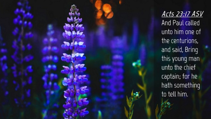 Picture 04 - Acts 23:17 ASV Desktop Wallpaper - And Paul called unto him one of the centurions, - Desktop Bible Verse Wallpaper