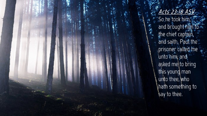 Picture 04 - Acts 23:18 ASV Desktop Wallpaper - So he took him, and brought him to the chief - Desktop Bible Verse Wallpaper