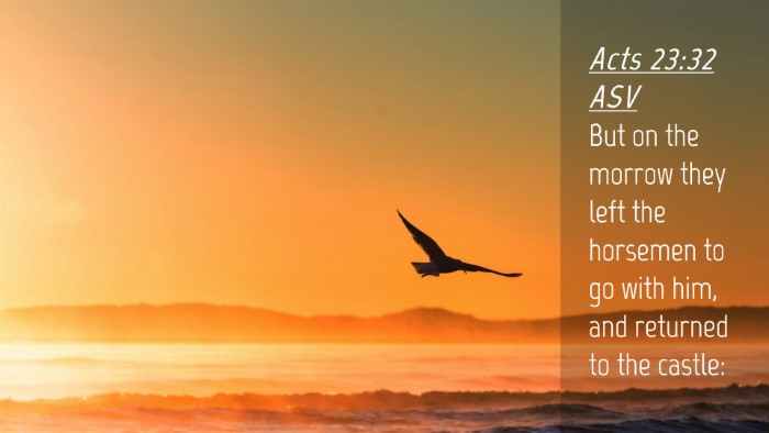 Picture 04 - Acts 23:32 ASV Desktop Wallpaper - But on the morrow they left the horsemen to go - Desktop Bible Verse Wallpaper