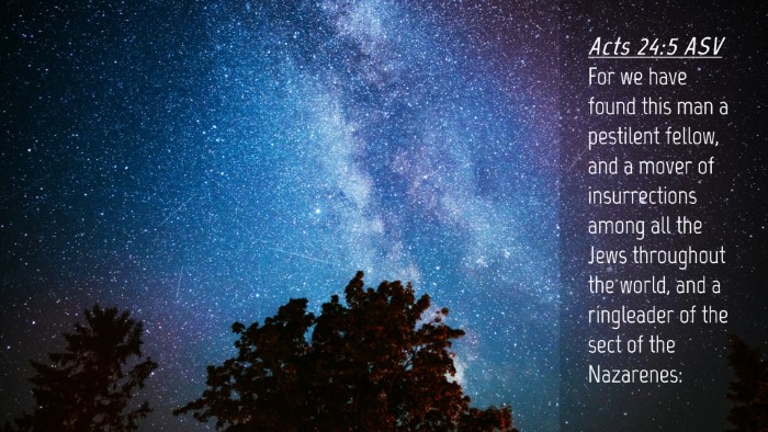 Picture 04 - Acts 24:5 ASV Desktop Wallpaper - For we have found this man a pestilent fellow, - Desktop Bible Verse Wallpaper
