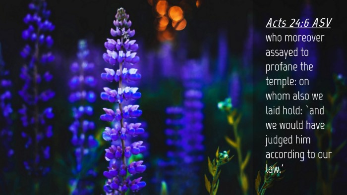 Picture 04 - Acts 24:6 ASV Desktop Wallpaper - who moreover assayed to profane the temple: on - Desktop Bible Verse Wallpaper