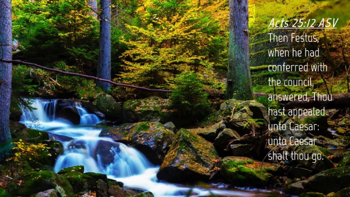 Picture 04 - Acts 25:12 ASV Desktop Wallpaper - Then Festus, when he had conferred with the - Desktop Bible Verse Wallpaper