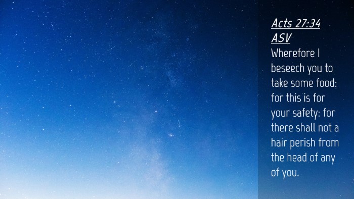 Picture 04 - Acts 27:34 ASV Desktop Wallpaper - Wherefore I beseech you to take some food: for - Desktop Bible Verse Wallpaper