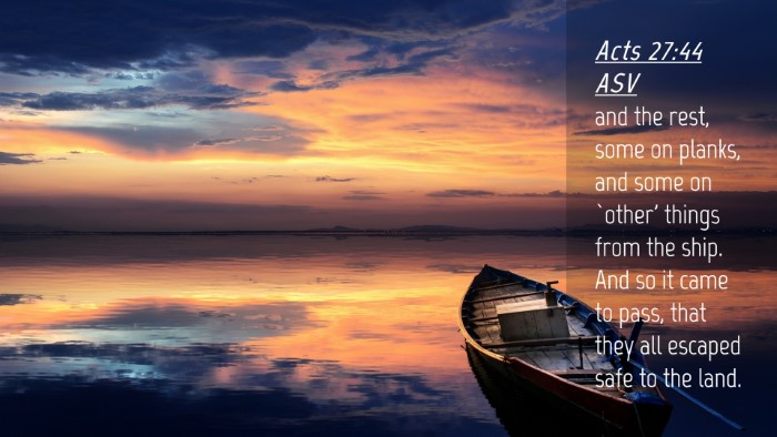 Picture 04 - Acts 27:44 ASV Desktop Wallpaper - and the rest, some on planks, and some on `other' - Desktop Bible Verse Wallpaper