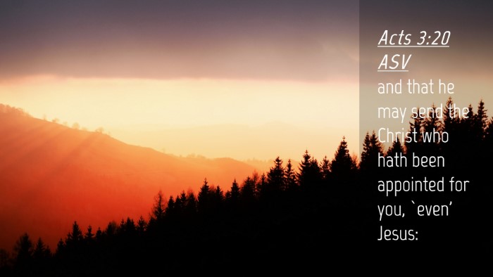 Picture 04 - Acts 3:20 ASV Desktop Wallpaper - and that he may send the Christ who hath been - Desktop Bible Verse Wallpaper