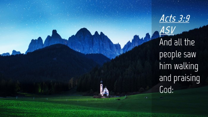 Picture 04 - Acts 3:9 ASV Desktop Wallpaper - And all the people saw him walking and praising - Desktop Bible Verse Wallpaper