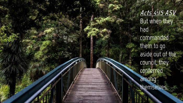Picture 04 - Acts 4:15 ASV Desktop Wallpaper - But when they had commanded them to go aside out - Desktop Bible Verse Wallpaper