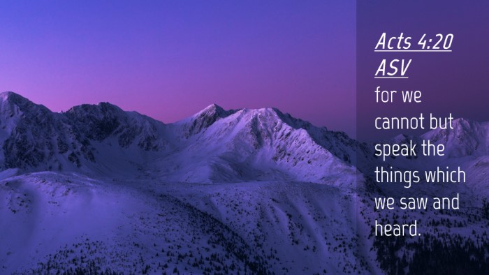 Picture 04 - Acts 4:20 ASV Desktop Wallpaper - for we cannot but speak the things which we saw - Desktop Bible Verse Wallpaper
