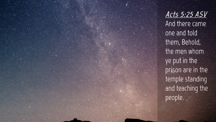 Picture 04 - Acts 5:25 ASV Desktop Wallpaper - And there came one and told them, Behold, the men - Desktop Bible Verse Wallpaper