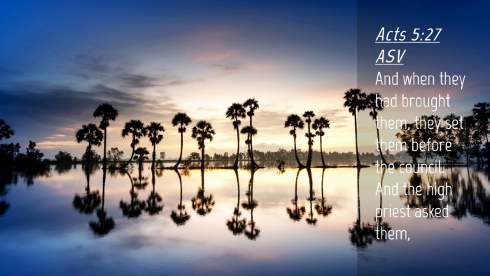 Picture 04 - Acts 5:27 ASV Desktop Wallpaper - And when they had brought them, they set them - Desktop Bible Verse Wallpaper