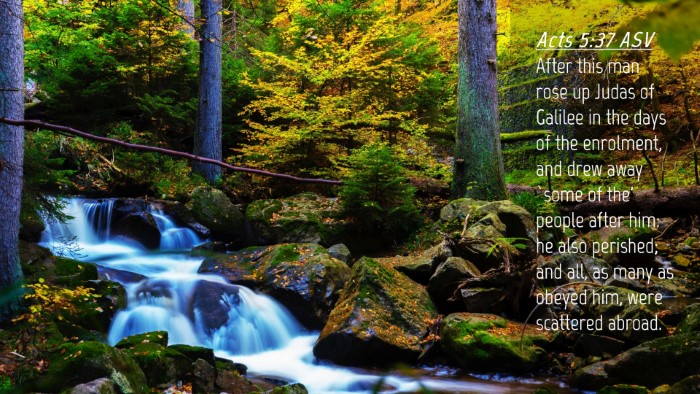 Picture 04 - Acts 5:37 ASV Desktop Wallpaper - After this man rose up Judas of Galilee in the - Desktop Bible Verse Wallpaper