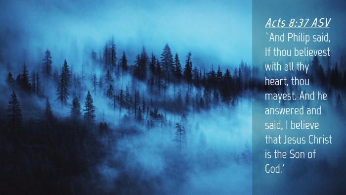 Picture 04 - Acts 8:37 ASV Desktop Wallpaper - `And Philip said, If thou believest with all thy - Desktop Bible Verse Wallpaper