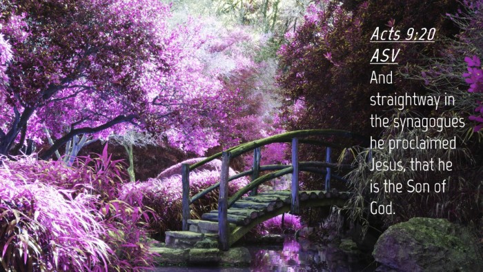 Picture 04 - Acts 9:20 ASV Desktop Wallpaper - And straightway in the synagogues he proclaimed - Desktop Bible Verse Wallpaper