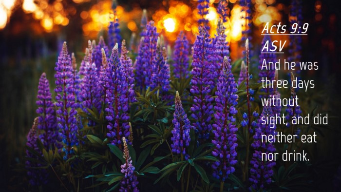 Picture 04 - Acts 9:9 ASV Desktop Wallpaper - And he was three days without sight, and did - Desktop Bible Verse Wallpaper