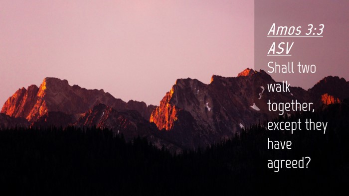 Picture 04 - Amos 3:3 ASV Desktop Wallpaper - Shall two walk together, except they have - Desktop Bible Verse Wallpaper