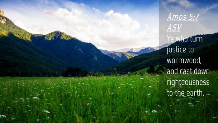 Picture 04 - Amos 5:7 ASV Desktop Wallpaper - Ye who turn justice to wormwood, and cast down - Desktop Bible Verse Wallpaper