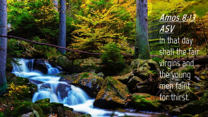 Picture 04 - Amos 8:13 ASV Desktop Wallpaper - In that day shall the fair virgins and the young - Desktop Bible Verse Wallpaper
