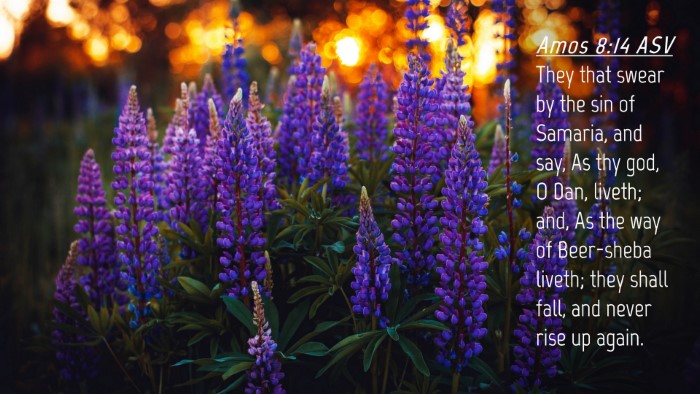 Picture 04 - Amos 8:14 ASV Desktop Wallpaper - They that swear by the sin of Samaria, and say, - Desktop Bible Verse Wallpaper