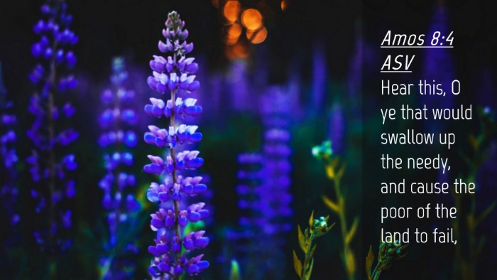 Picture 04 - Amos 8:4 ASV Desktop Wallpaper - Hear this, O ye that would swallow up the needy, - Desktop Bible Verse Wallpaper